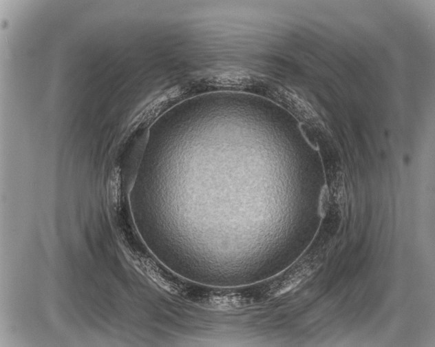 X0000085810744200703231335