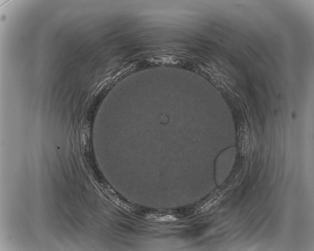 X0000085810747200703231335