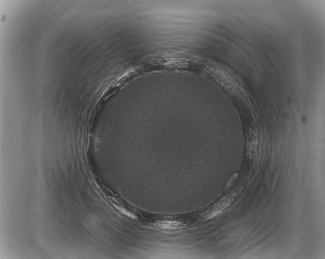 X0000085810748200703231335