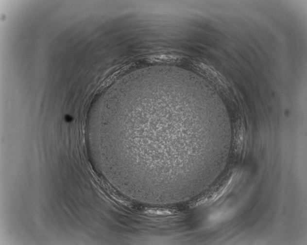 X0000085810749200703231335