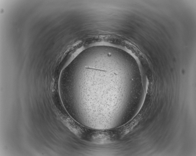 X0000085810750200703231335