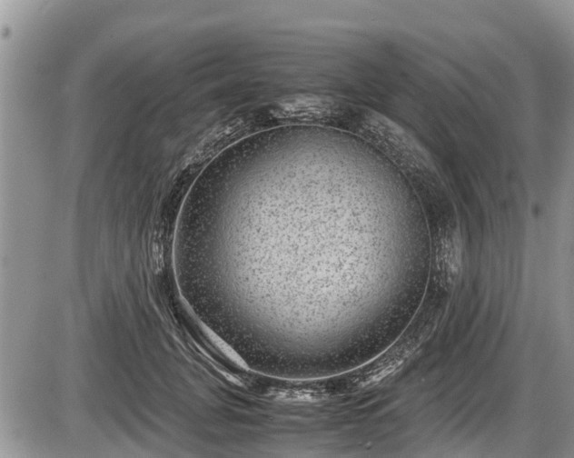 X0000085810751200703231335