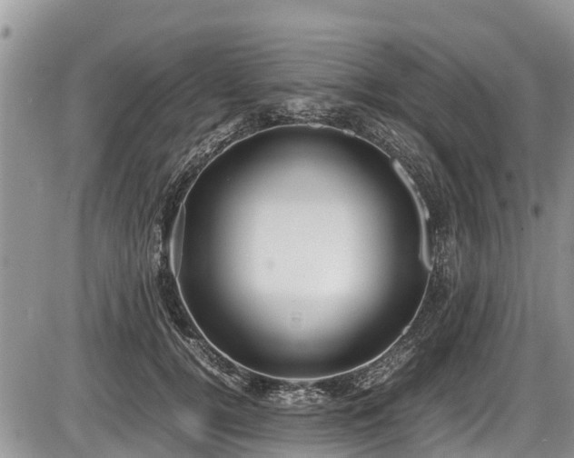 X0000085810752200703231335