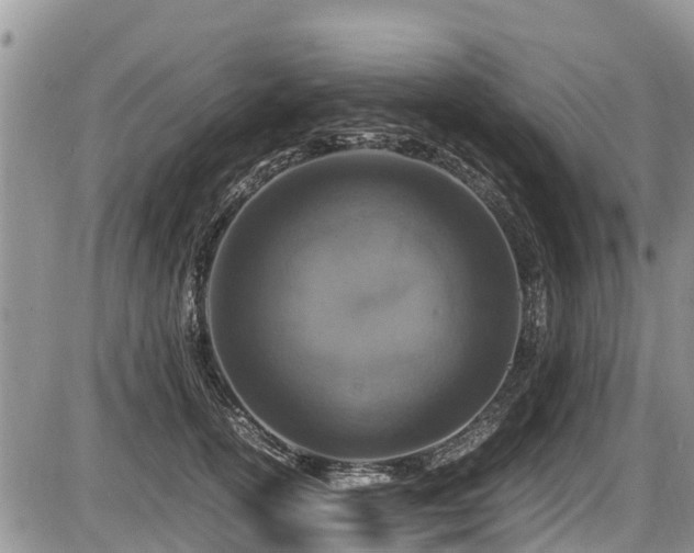 X0000085810754200703231335