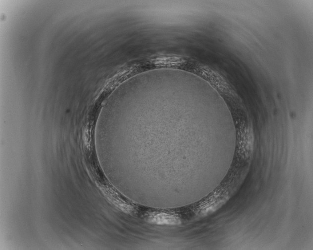 X0000085810755200703231335