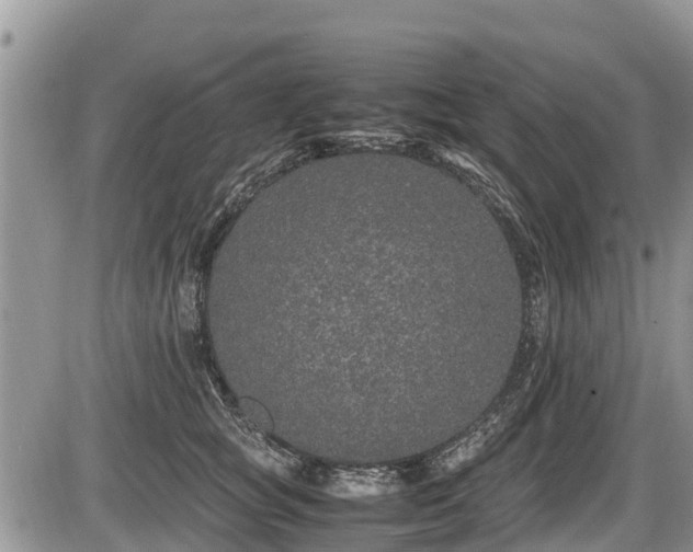 X0000085810757200703231335