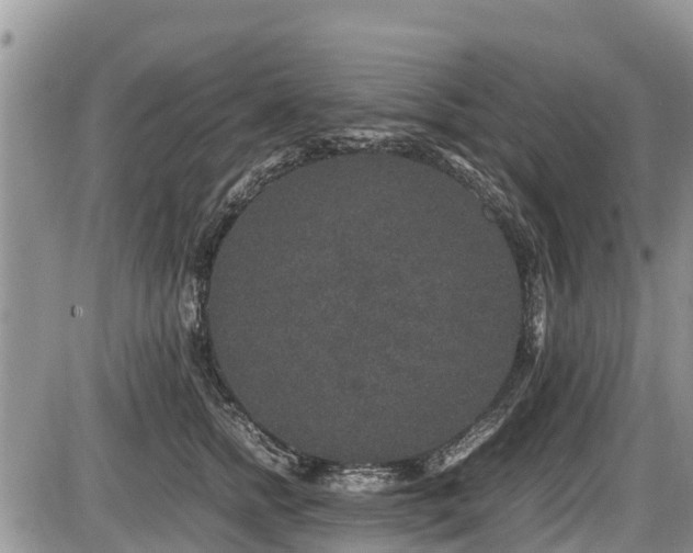 X0000085810758200703231335