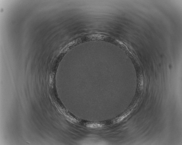 X0000085810759200703231335