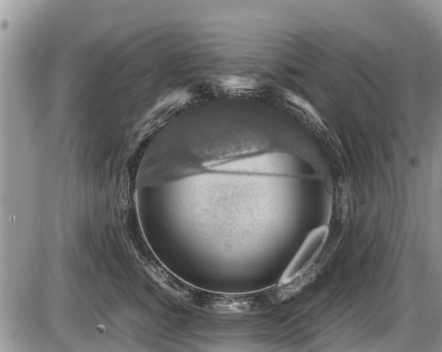 X0000085810760200703231335