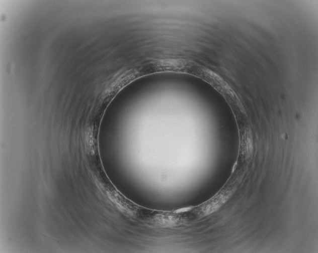 X0000085810764200703231335