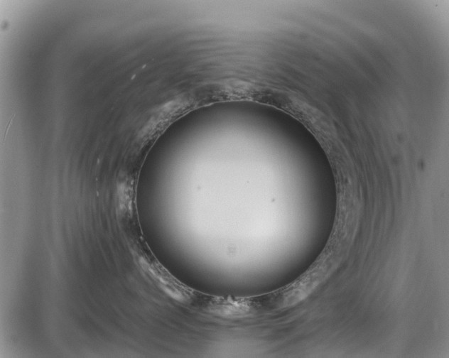 X0000085810768200703231336