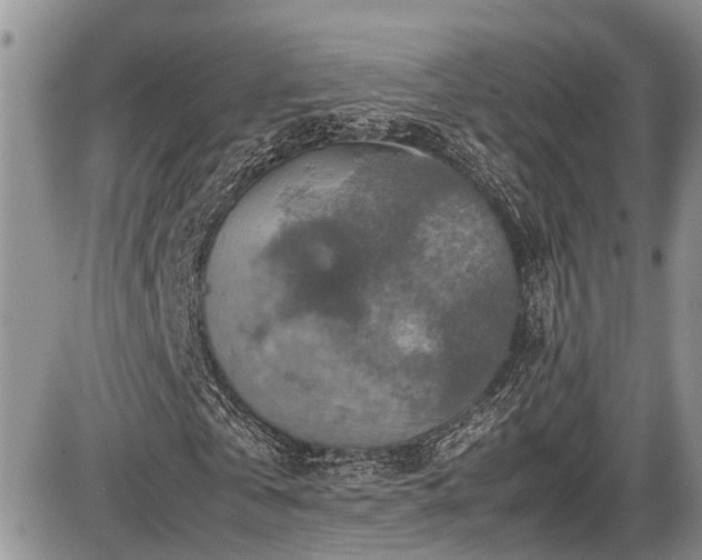 X0000085810769200703231335