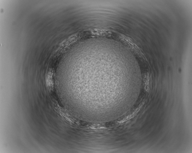 X0000085810770200703231335