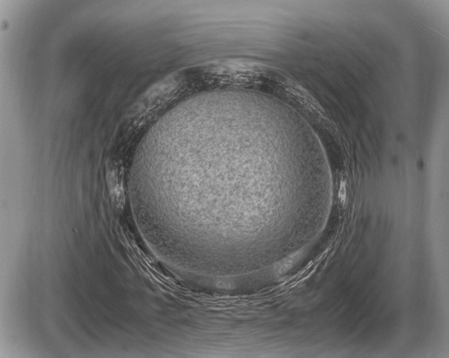 X0000085810771200703231335