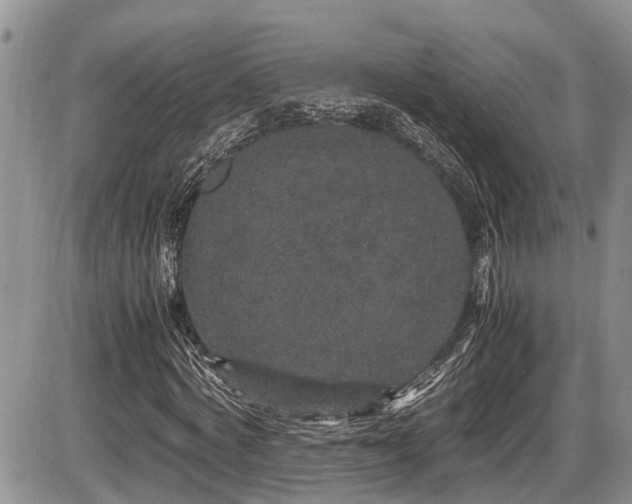 X0000085810772200703231335