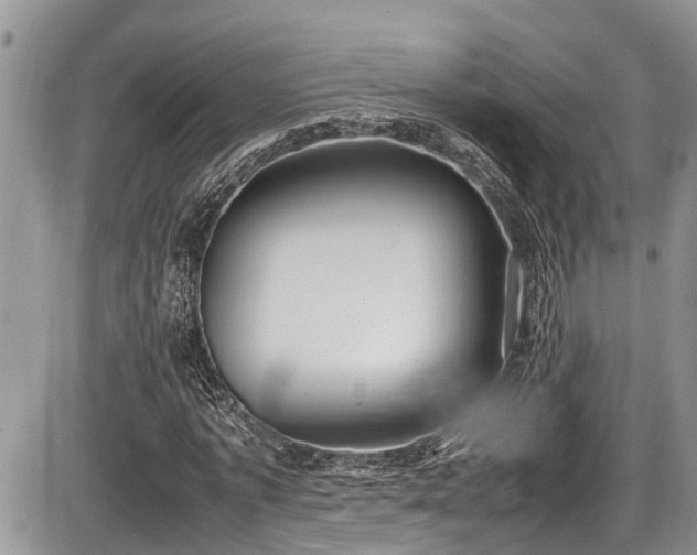 X0000085810773200703231335