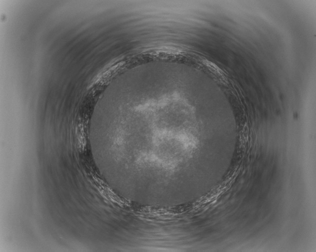 X0000085810774200703231335