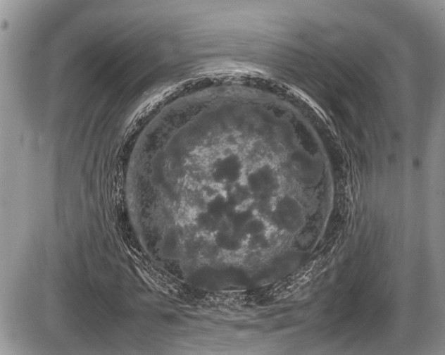 X0000085810775200703231335