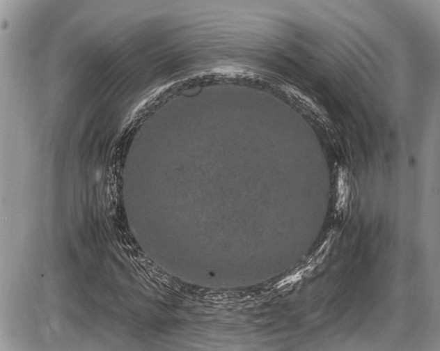 X0000085810776200703231335