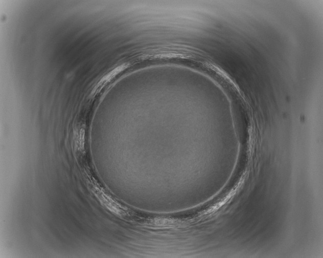 X0000085810777200703231335