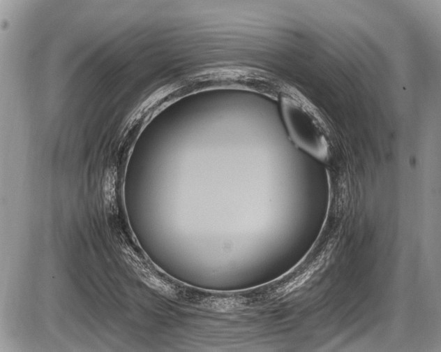 X0000085810778200703231335