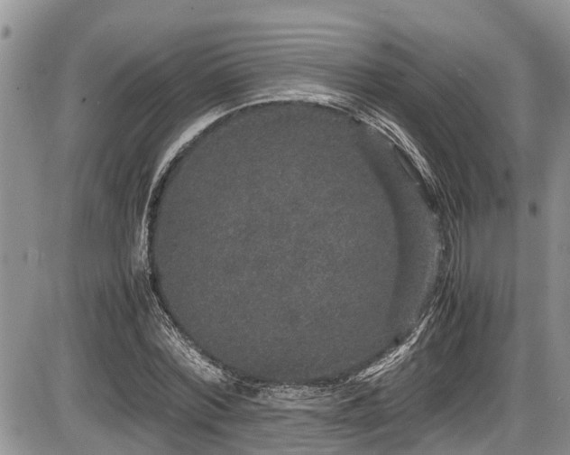 X0000085810780200703231335