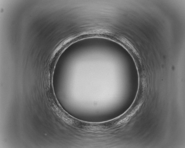 X0000085810781200703231335