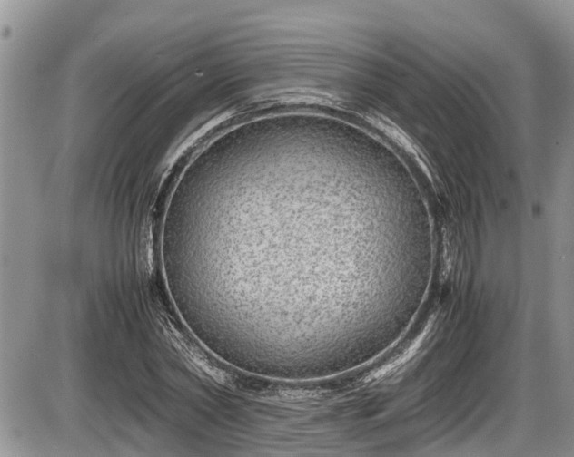 X0000085810782200703231334