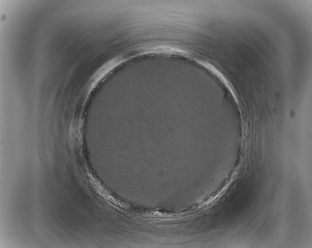 X0000085810783200703231334