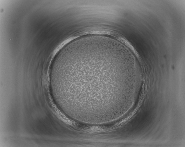 X0000085810787200703231334