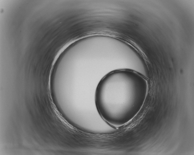 X0000085810788200703231334