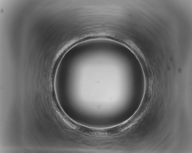 X0000085810789200703231334