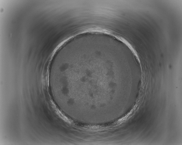 X0000085810791200703231334