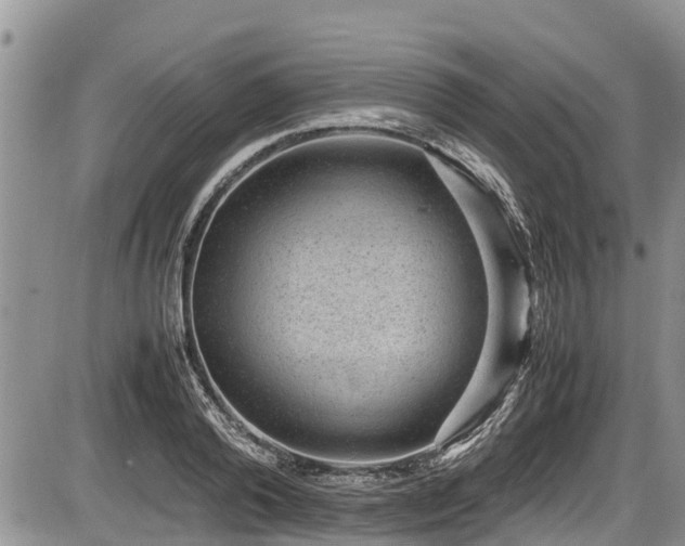 X0000085810792200703231334