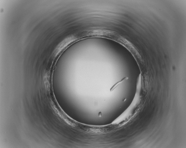 X0000085810794200703231334