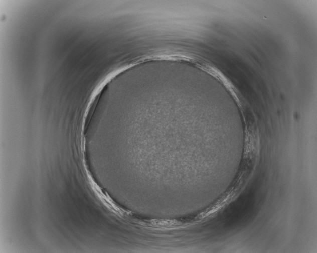 X0000085810795200703231334