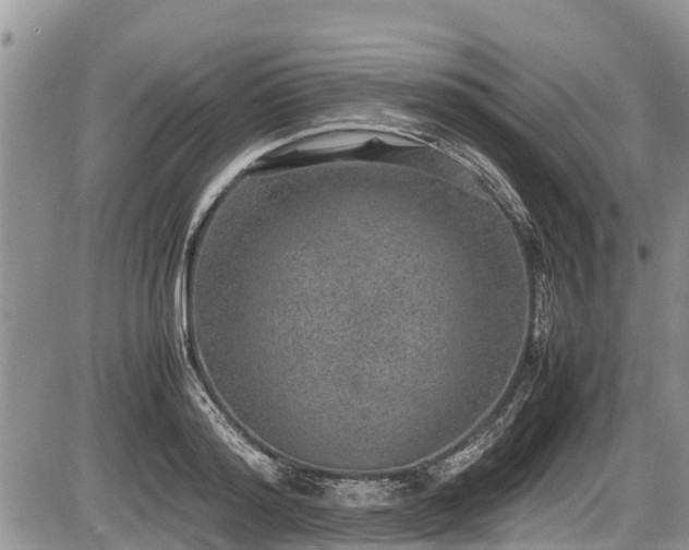 X0000085810796200703231334