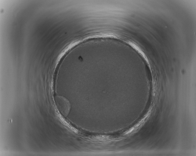 X0000085810797200703231334