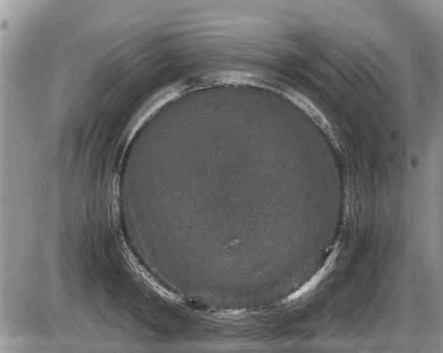 X0000085810798200703231334