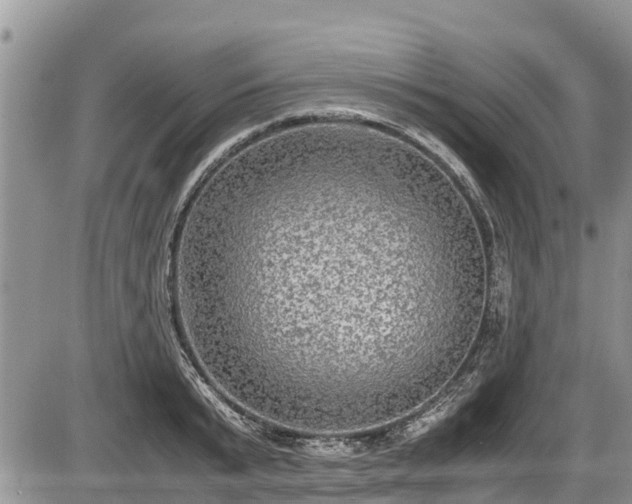 X0000085810799200703231334