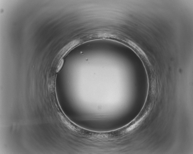 X0000085810801200703231334