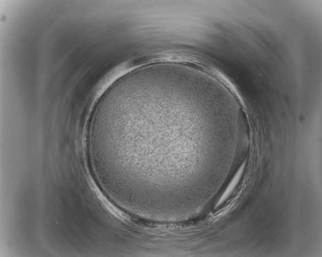 X0000085810803200703231334