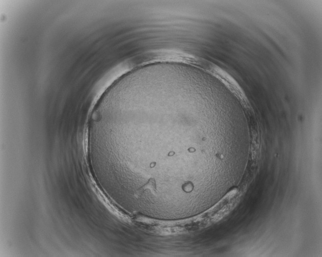 X0000085810804200703231334