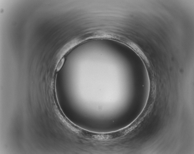 X0000085810805200703231334