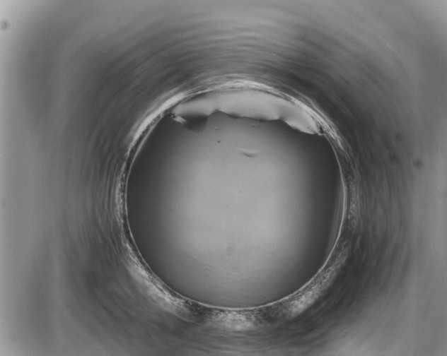 X0000085810806200703231334