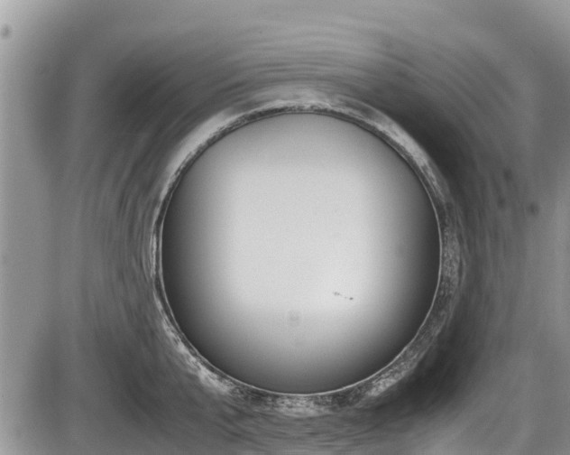 X0000085810807200703231334