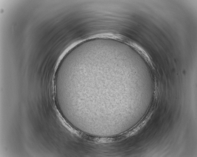 X0000085810808200703231334