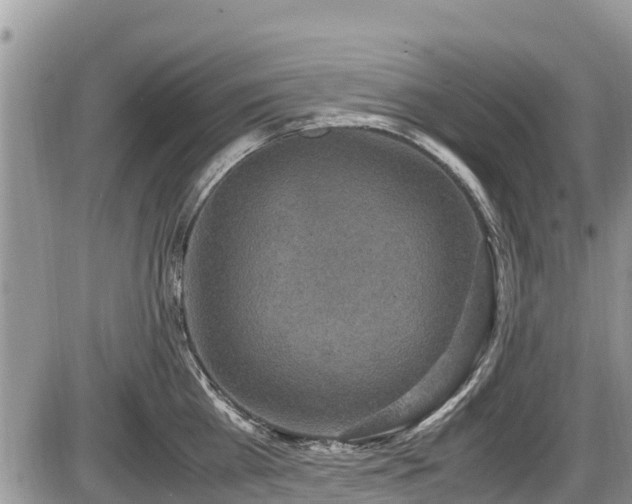 X0000085810809200703231334