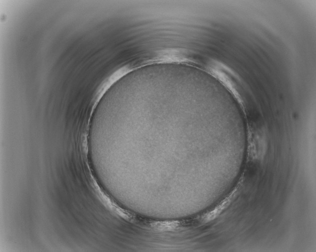 X0000085810810200703231334