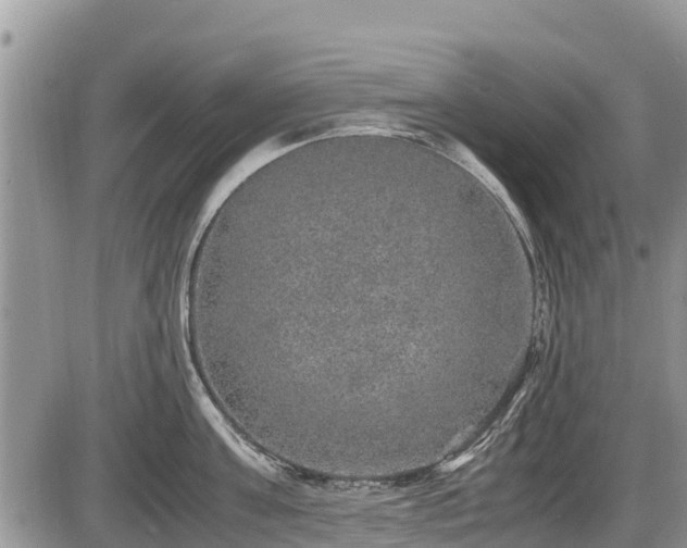 X0000085810811200703231334